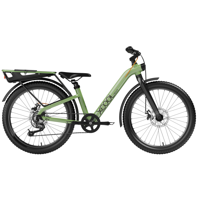 Велосипед дитячий RoyalBaby 24" XCOOL Rider, OFFICIAL UA, Green