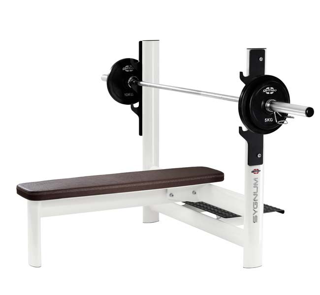 Gym80 SYGNUM Press Bench