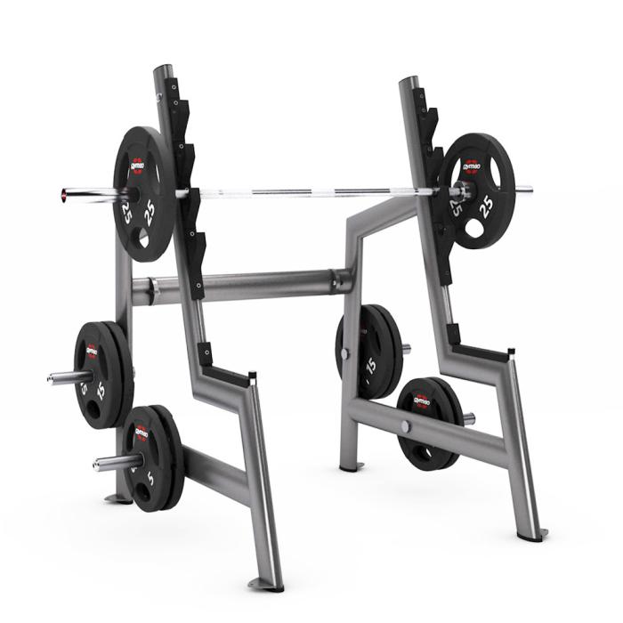 Стойка для жимов и приседаний Gym80 Basic Squat Rack