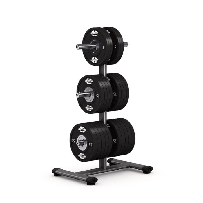 Стойка для дисков Gym80 Basic Disc Stand