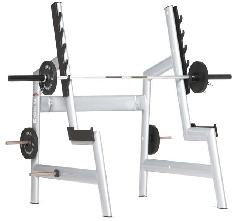 Gym80 SYGNUM Squat Rack
