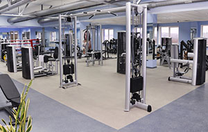 GYM80 у проєкті Кристал — фото 2