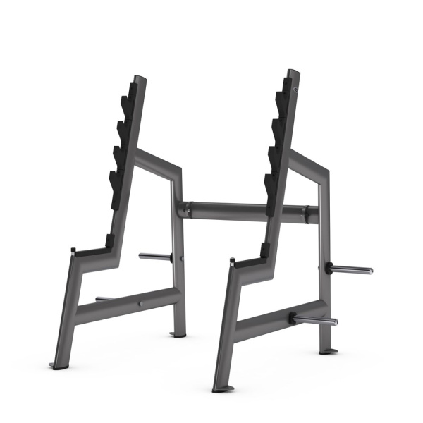 Стійка для жимів і присідань Gym80 Basic Squat Rack
