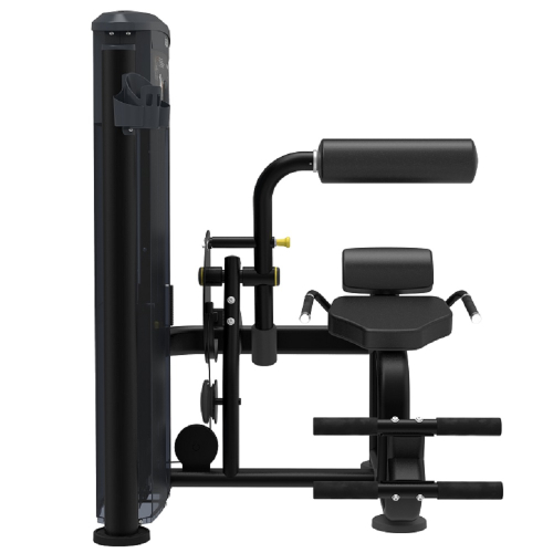 Розгинач спини Impulse Evolution