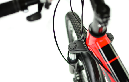 Велосипед RoyalBaby FEMA MTB 1.0 24
