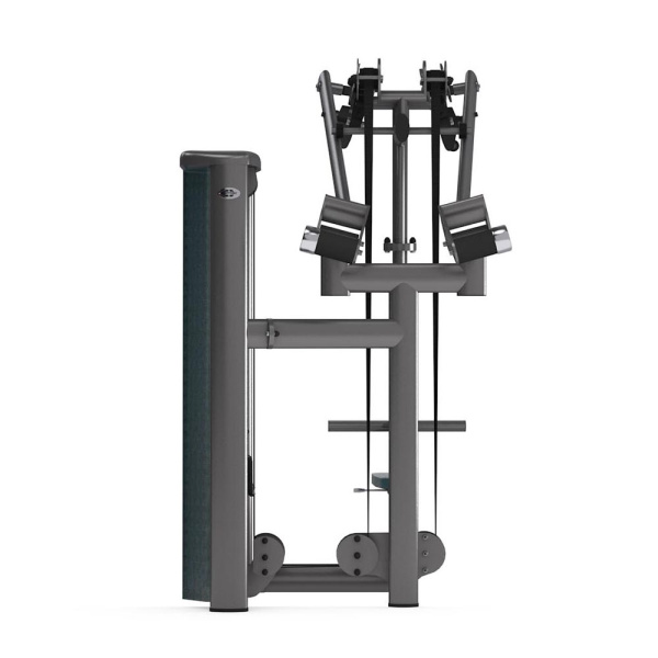 Gym80 SYGNUM Dual Lat Pully Machine
