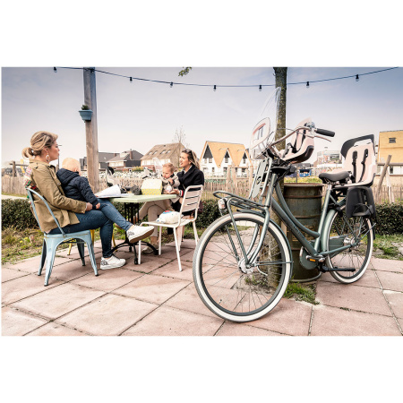 Дитяче велокрісло Bobike Maxi GO Frame / Macaron grey