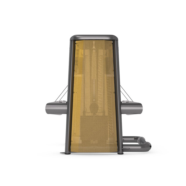 GYM80 Sygnum Functional Performance Push/Pull Machine