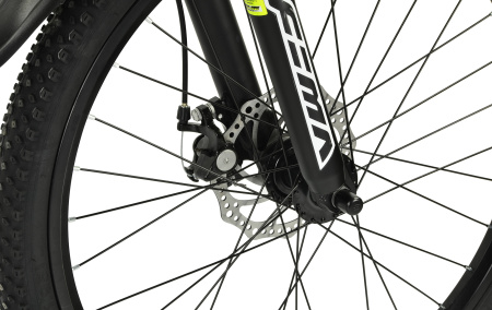 Велосипед RoyalBaby FEMA MTB 1.0 24