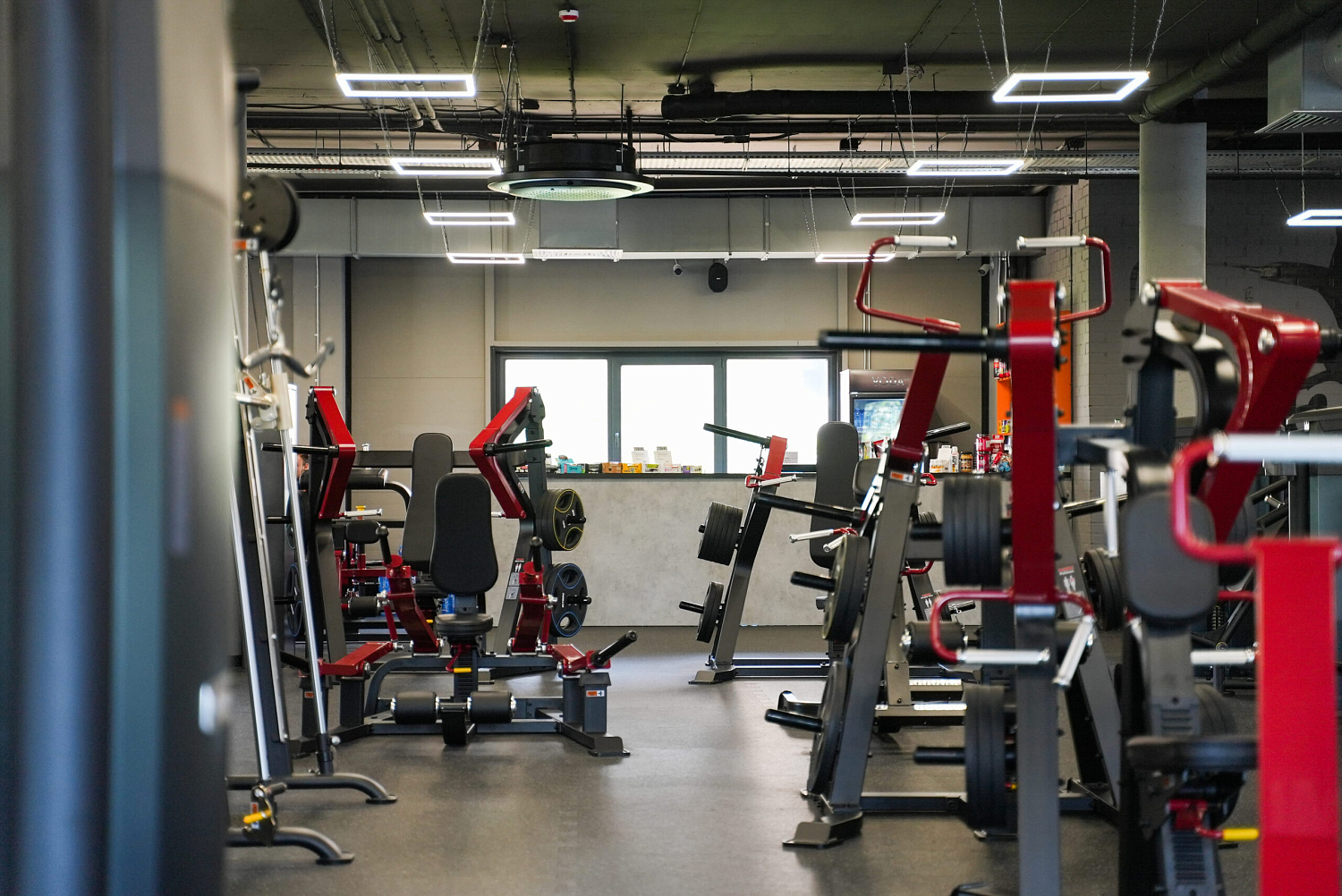 DOG & Grand CrossFit на Теремках