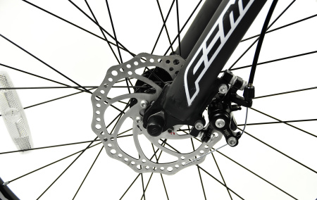 Велосипед RoyalBaby FEMA MTB 1.0 24