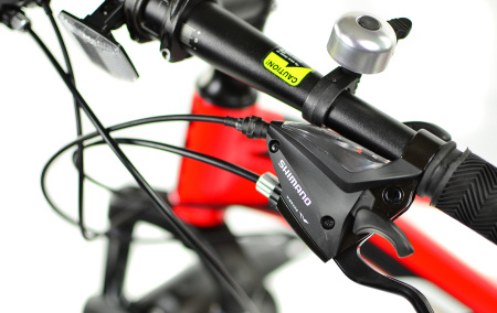 Велосипед RoyalBaby FEMA MTB 1.0 24