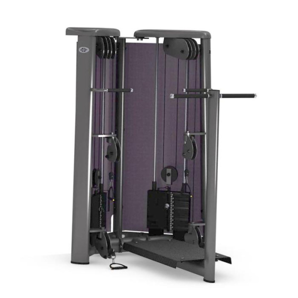 GYM80 SYGNUM Cable Art №6