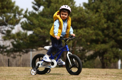 Велосипед RoyalBaby GALAXY FLEET PLUS MG 16", OFFICIAL UA, синий