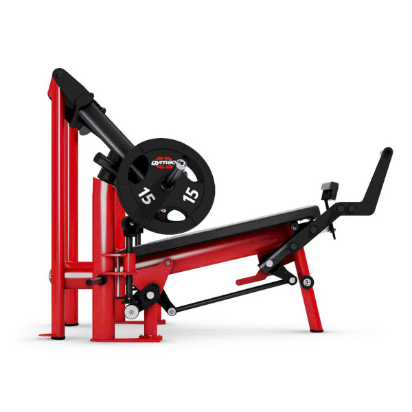 Жим от груди с отрицательным наклоном 12° GYM80 Pure Kraft Decline Chest Press Dual