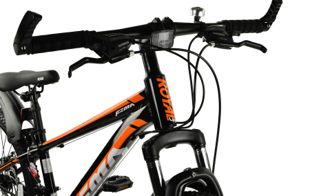 Велосипед RoyalBaby FEMA MTB 1.0 24