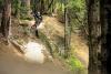 Велосипед MONDRAKER SUMMUM RR 29/27.5'' 203mm, Team Edition, L 