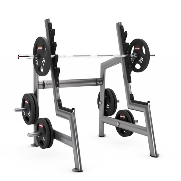 Стійка для жимів і присідань Gym80 Basic Squat Rack