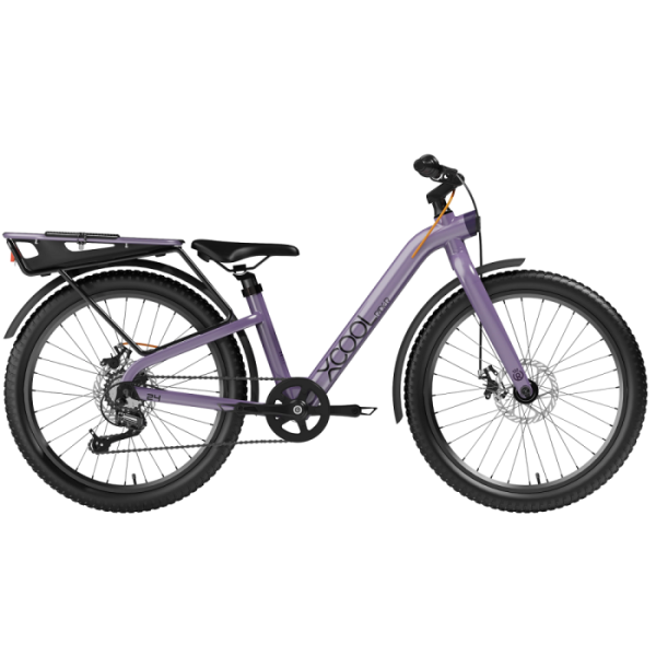 Велосипед дитячий RoyalBaby 24" XCOOL Rider, OFFICIAL UA, Purple