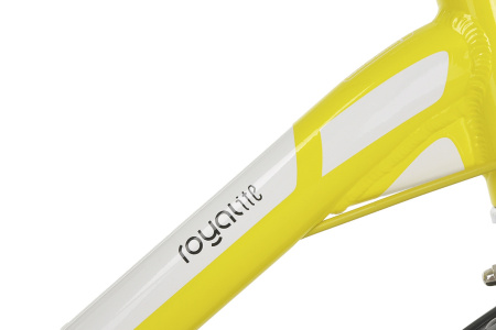 Велосипед RoyalBaby MARS ALLOY 18