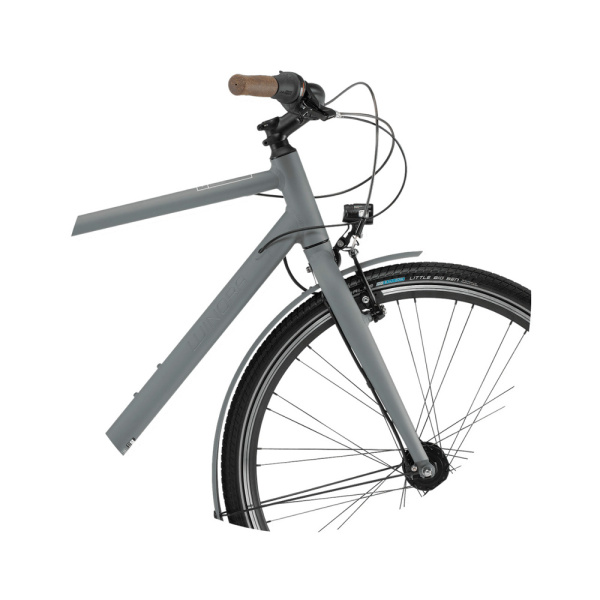 Велосипед Winora Aruba men 28 " 8-G Nexus FL, рама 56, сірий матовий, 2021