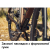 Велосипед MONDRAKER Arid S 28'', Bronze, M/L Велосипед MONDRAKER Arid S 28'', Bronze, M/L