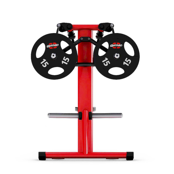 Дельтовидная машина GYM80 Pure Kraft Shoulder Laterel Raise Dual