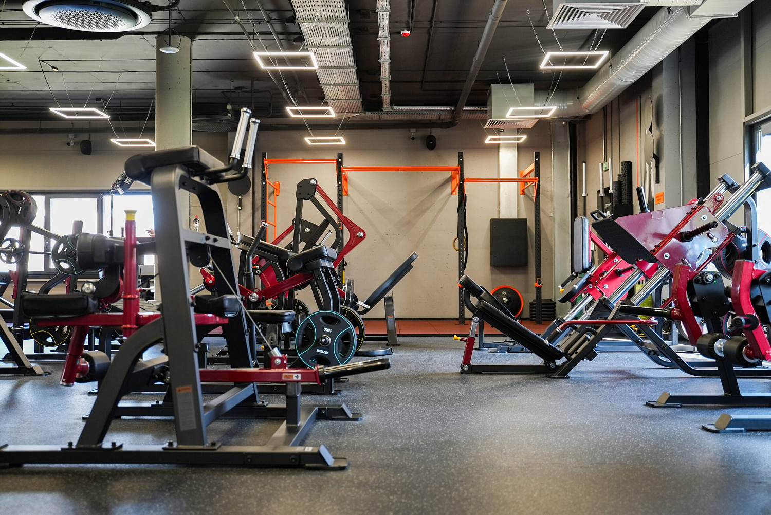 DOG & Grand CrossFit на Теремках