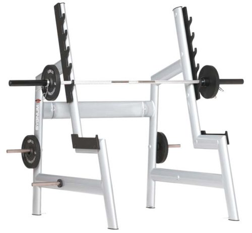 Gym80 SYGNUM Squat Rack