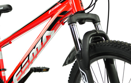 Велосипед RoyalBaby FEMA MTB 1.0 24