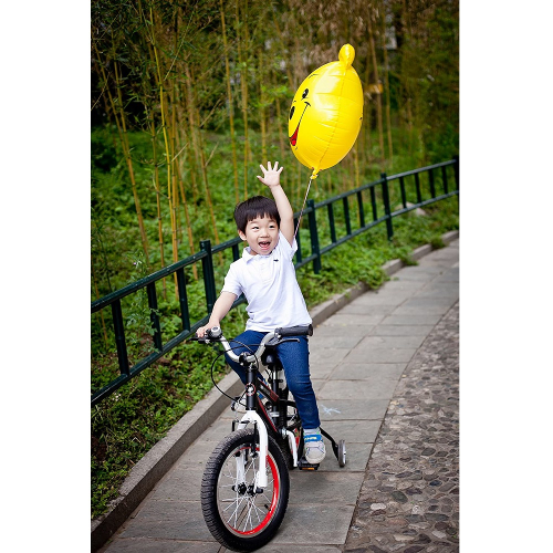 Велосипед RoyalBaby SPACE NO.1 Steel 18", OFFICIAL UA, черный