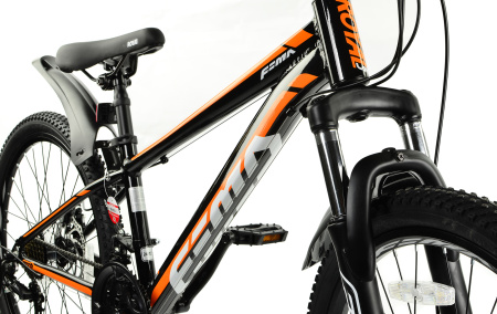 Велосипед RoyalBaby FEMA MTB 1.0 24