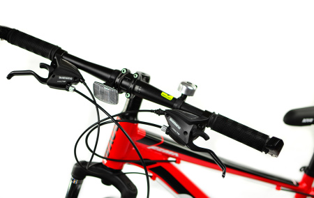 Велосипед RoyalBaby FEMA MTB 1.0 24