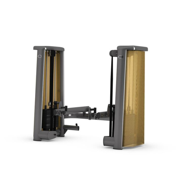GYM80 Sygnum Functional Performance Lift Machine