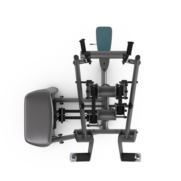 Gym80 SYGNUM Dual Lat Pully Machine