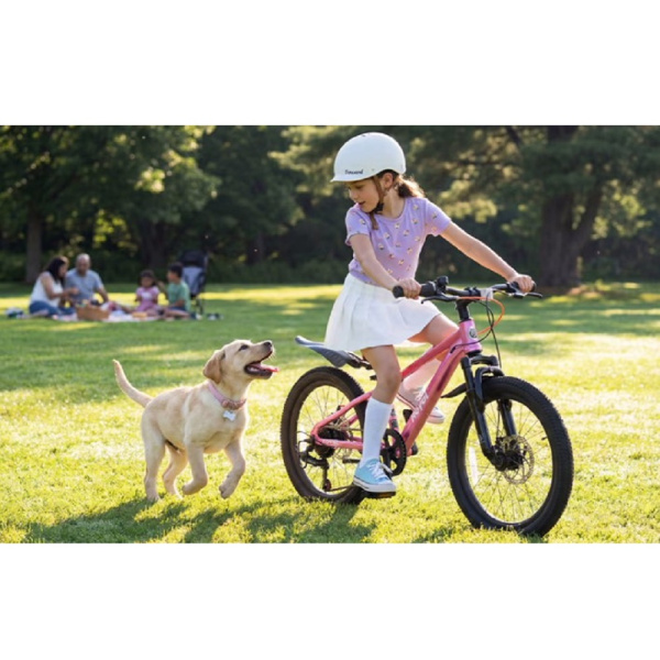 Велосипед дитячий RoyalBaby 26" KING-PLUS 21 SPEED, OFFICIAL UA, Silver