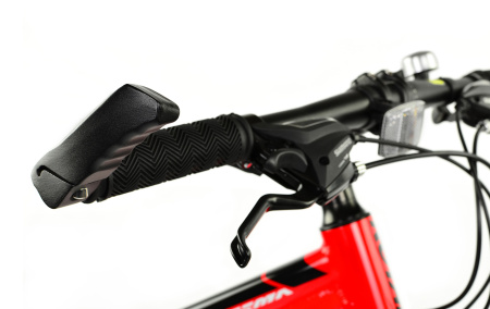 Велосипед RoyalBaby FEMA MTB 1.0 24