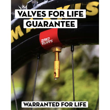Ніпелі Peaty's x Chris King Tubeless Valves, 42mm, Silver