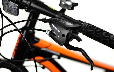 Велосипед RoyalBaby FEMA MTB 1.0 24