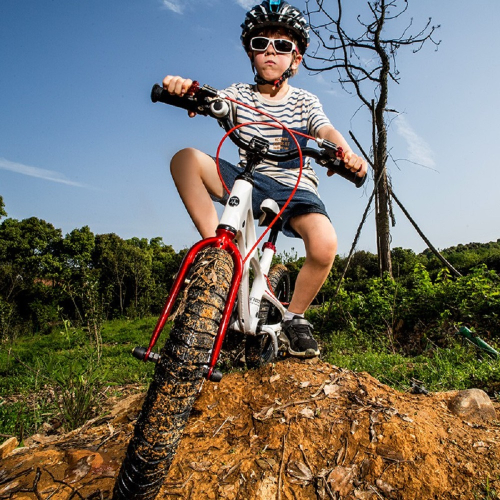 Велосипед RoyalBaby SPACE SHUTTLE 16", OFFICIAL UA, красный