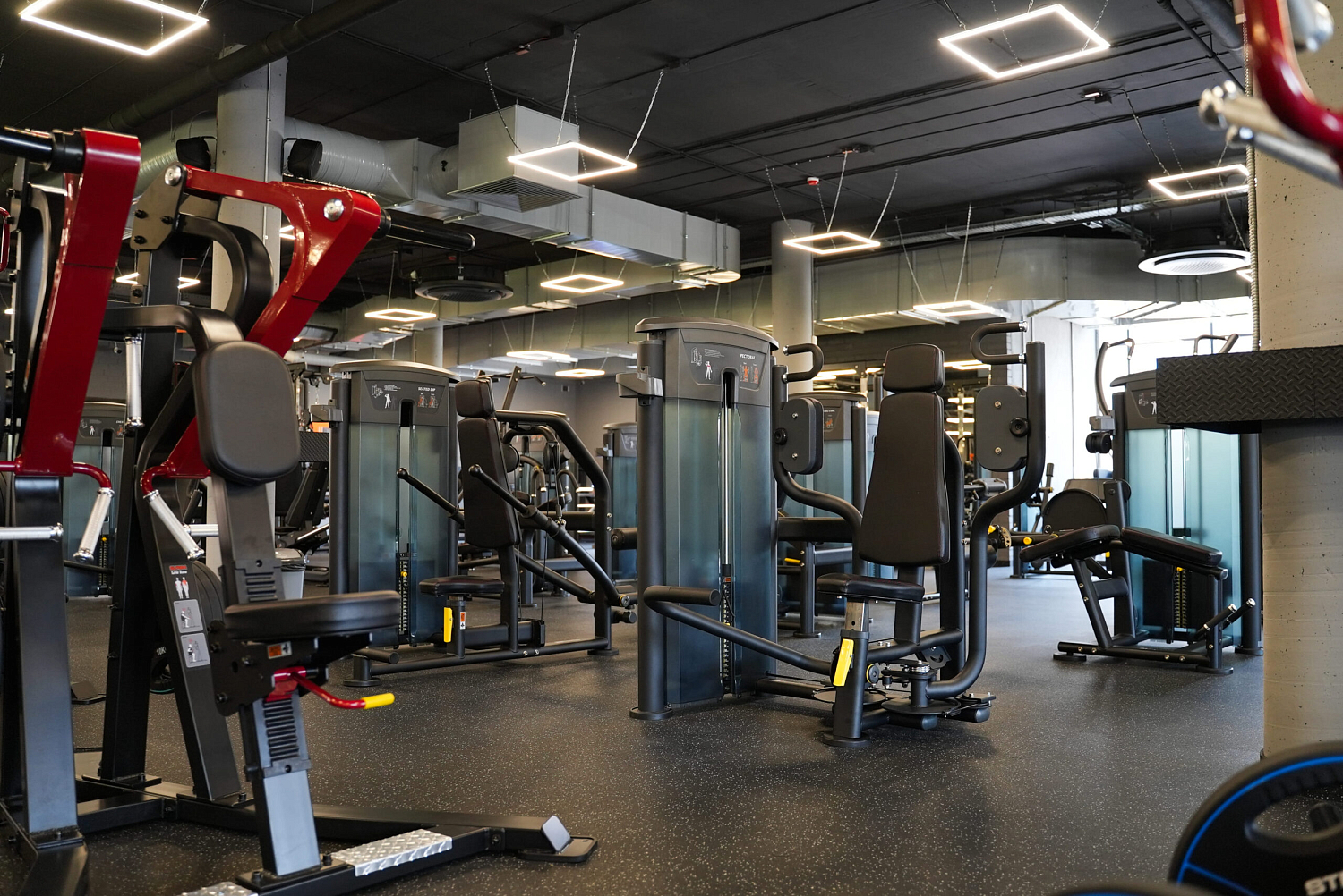 DOG & Grand CrossFit на Теремках