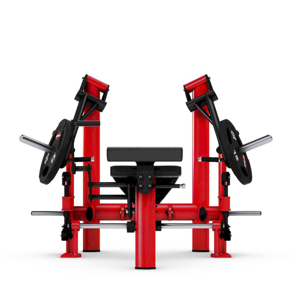 Жим от груди с отрицательным наклоном 12° GYM80 Pure Kraft Decline Chest Press Dual
