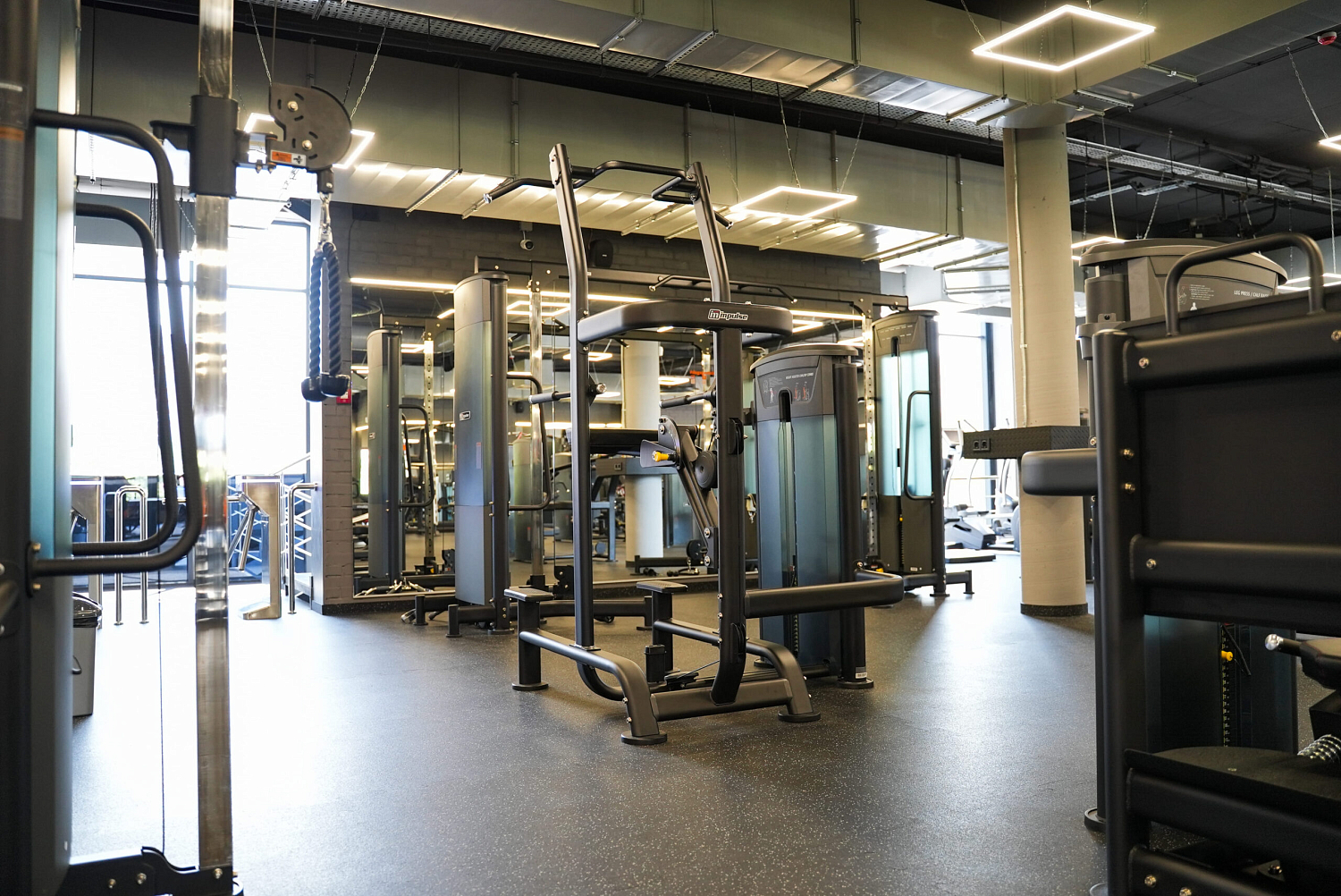 DOG & Grand CrossFit на Теремках