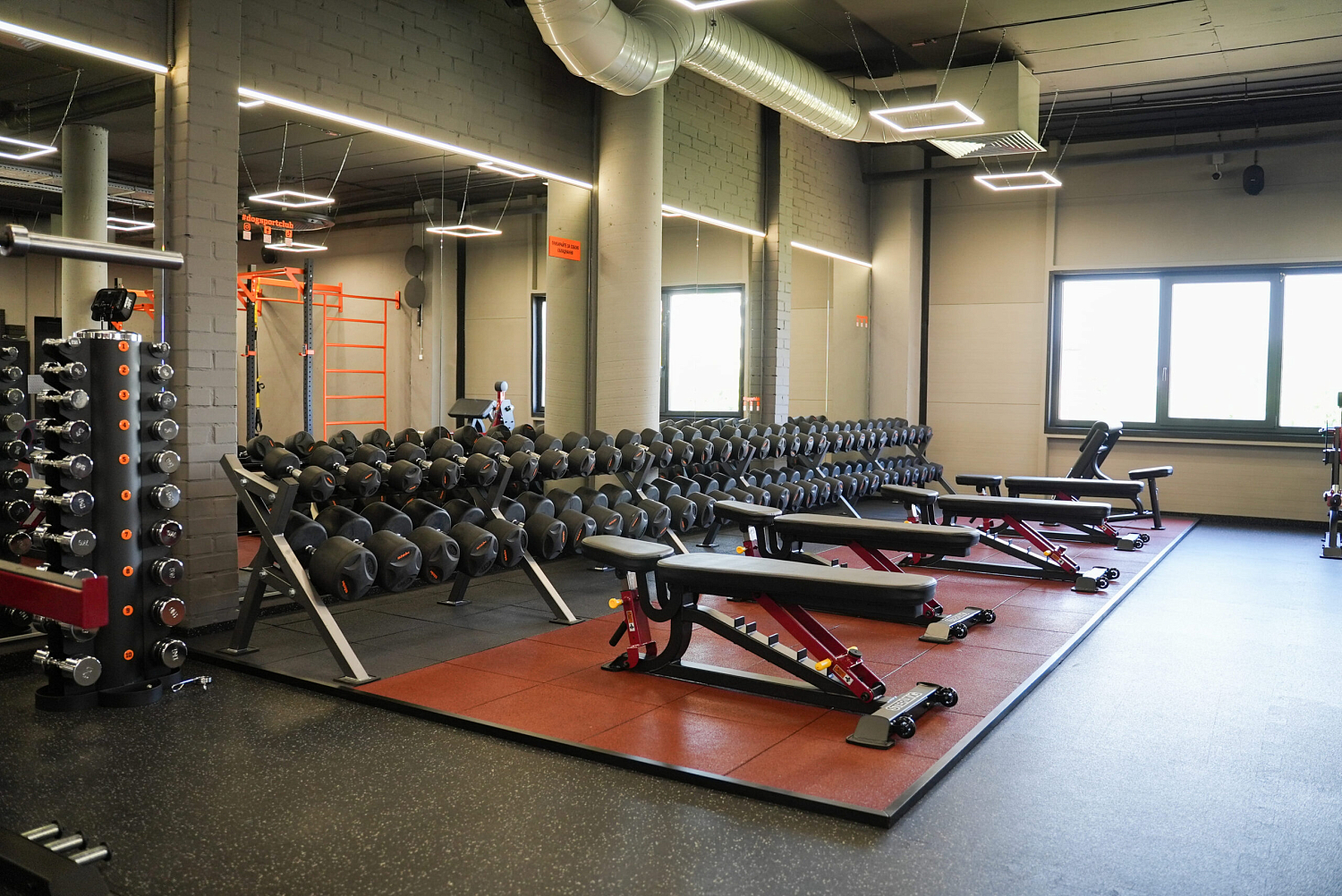 DOG & Grand CrossFit на Теремках