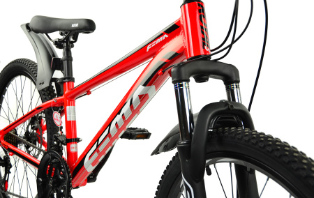 Велосипед RoyalBaby FEMA MTB 1.0 24