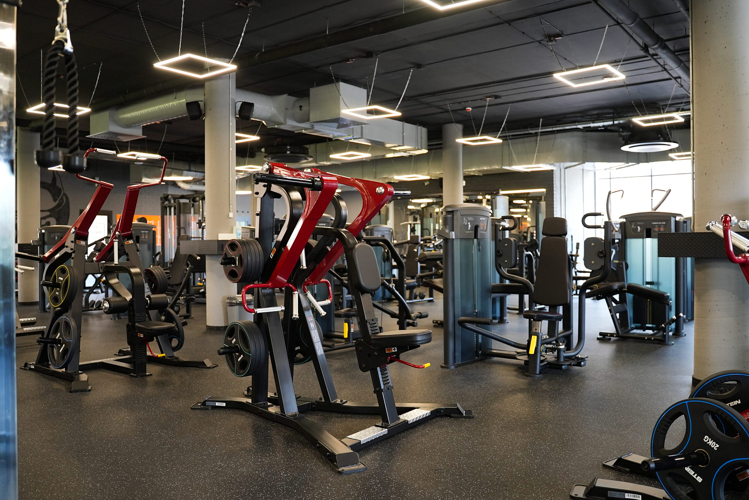 DOG & Grand CrossFit на Теремках