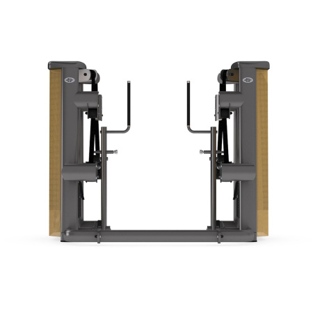 GYM80 Sygnum Functional Performance Push/Pull Machine || GYM80 Sygnum Functional Performance Push/Pull Machine