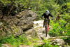 Велосипед MONDRAKER SUMMUM RR 29/27.5'' 203mm, Team Edition, L 