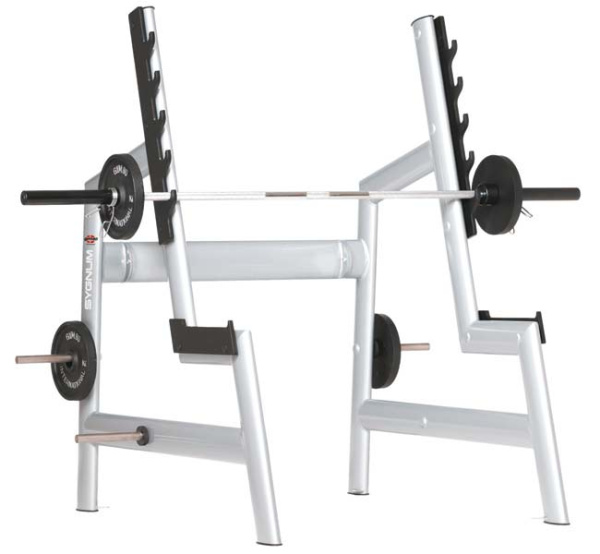 Gym80 SYGNUM Squat Rack