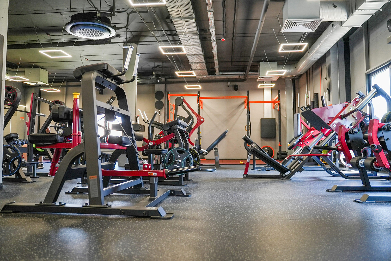 DOG & Grand CrossFit на Теремках